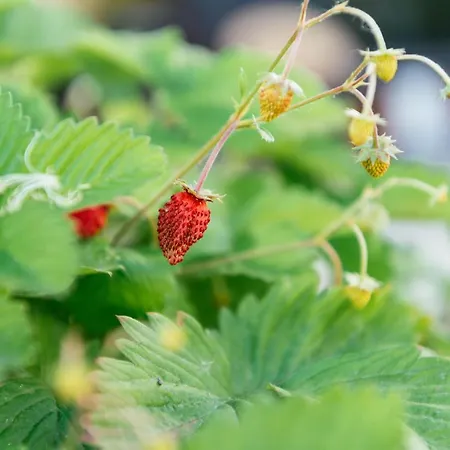 Apartamento Luxury Penthouse With Sea View - Center Pescara